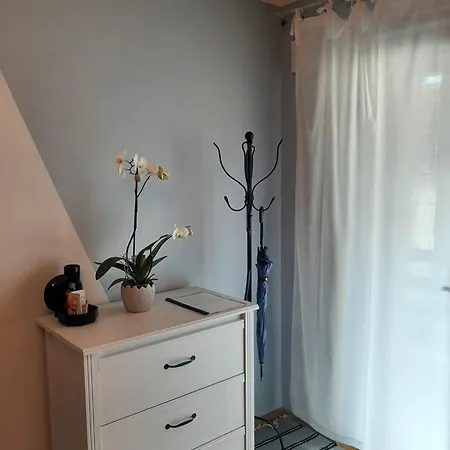 Kuninga Lägenhet Pärnu
