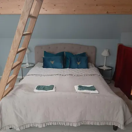Kuninga Pärnu