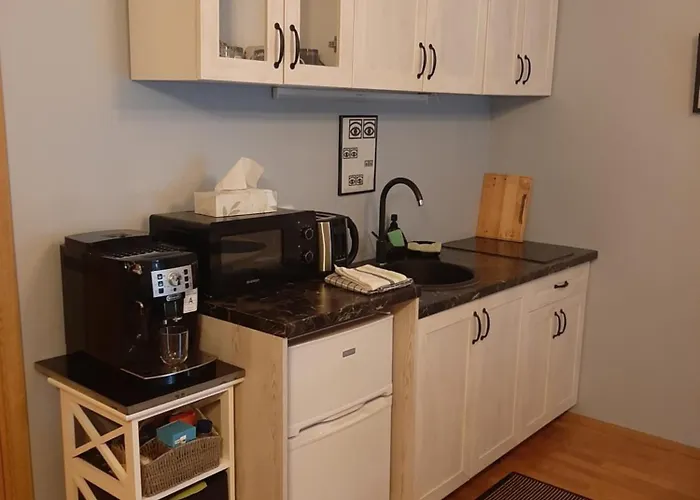 Apartment Kuninga Parnu